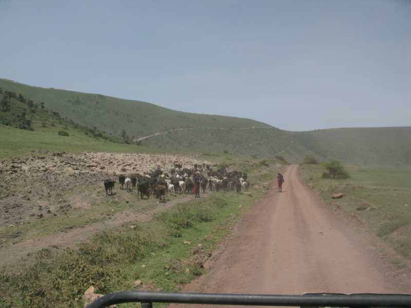 Кения и Танзания (путешествие 2012 года)