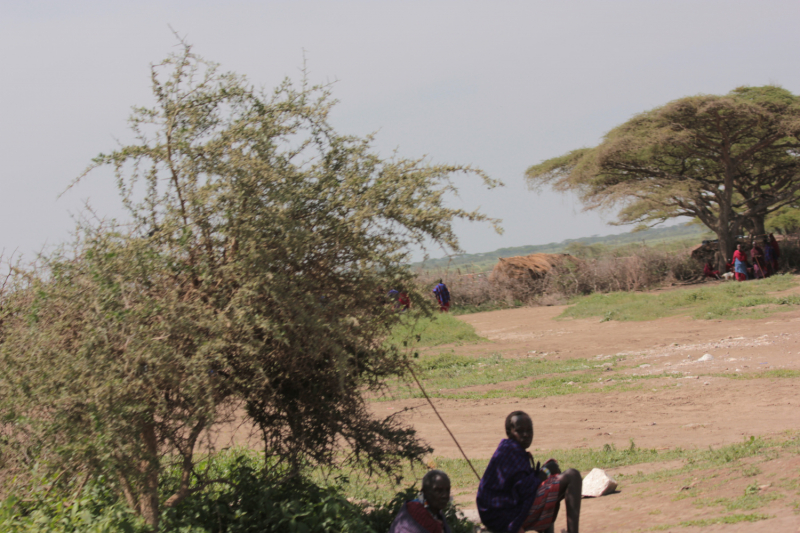 Кения и Танзания (путешествие 2012 года)