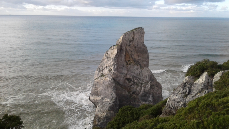 La mia vita. Римские записки, дневник онлайн