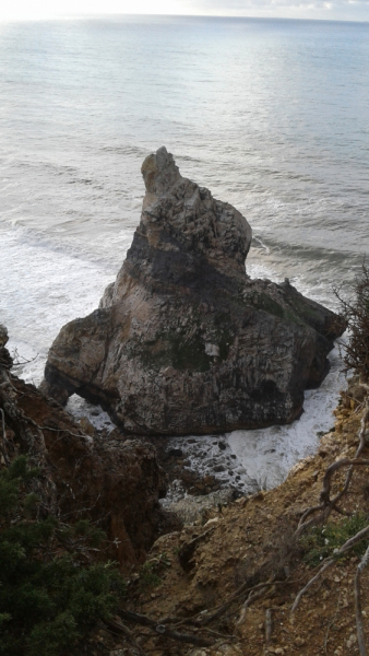 La mia vita. Римские записки, дневник онлайн