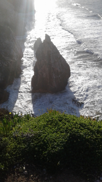 La mia vita. Римские записки, дневник онлайн