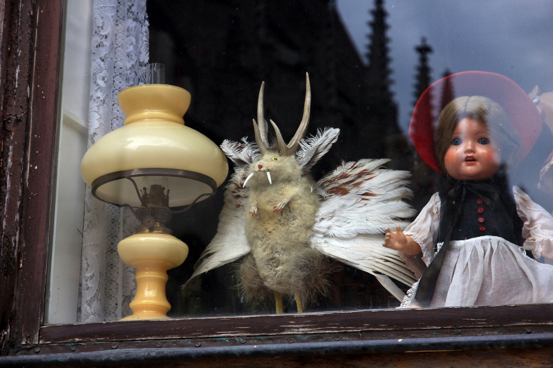 Ужасы, кошмары, гадости, приколы и нелепости, и разная абракадабра из путешествий.