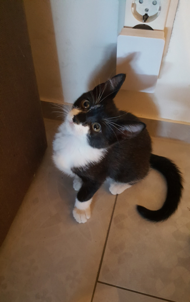 Провинциальная Португалия