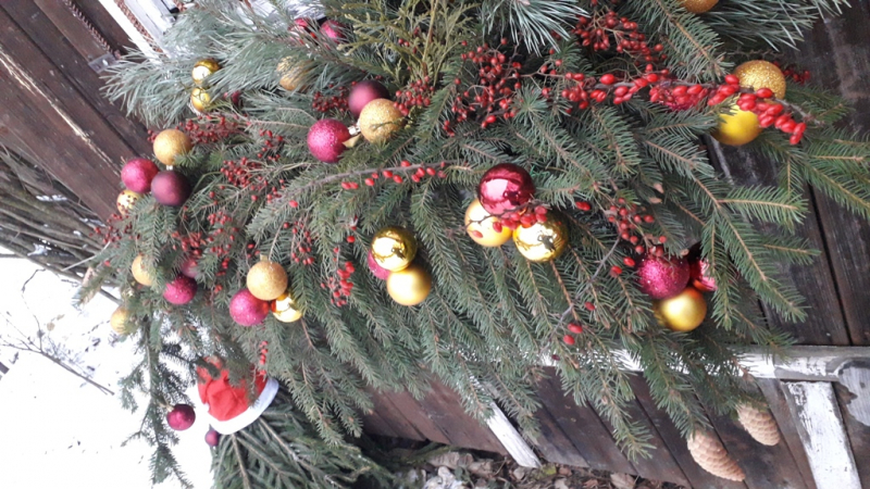 Кошки в нашей жизни. Кошки и все, что с ними связано.