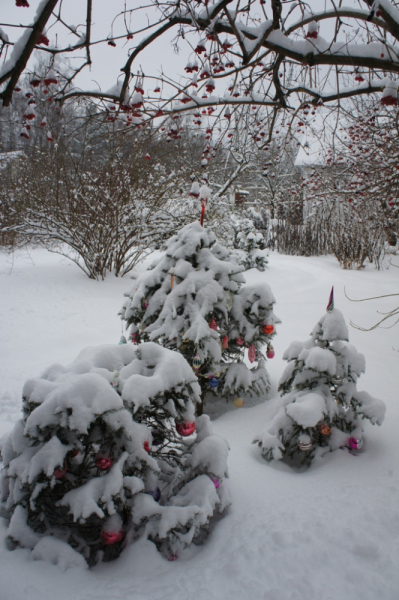 Кошки в нашей жизни. Кошки и все, что с ними связано.