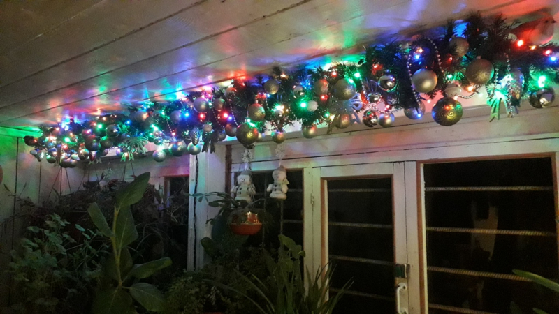 Кошки в нашей жизни. Кошки и все, что с ними связано.