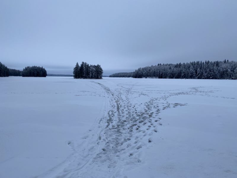 Карелия на январские 02-06.01.21 (Из Москвы в Сортавала, Рускеала)