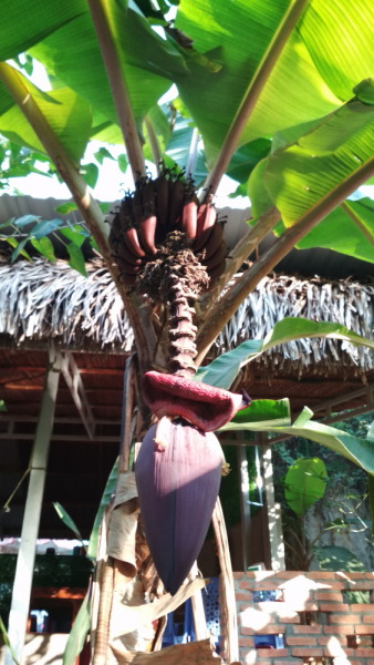 Въетнам. 8 городов за 10 дней (2020 год)