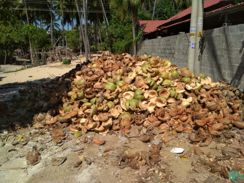 Въетнам. 8 городов за 10 дней (2020 год)