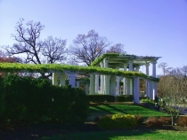 DSCF7527_новый размер.jpg