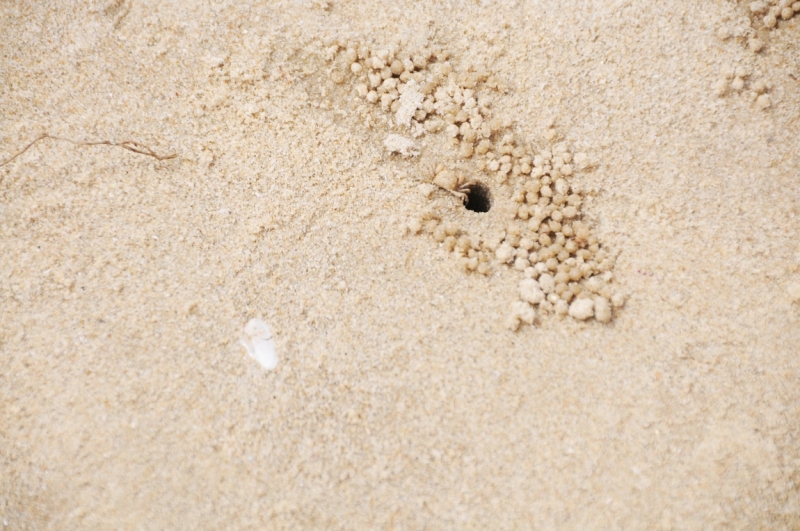 Ханой-Сапа-Халонг-Далат-Муй Не-Хо Ши Мин. Отчет. Ноябрь 2011. Много фото! Ханой-Сапа-Халонг-Далат-Муй Не-Хо Ши Мин. Отчет. Ноябрь 2011. Много фото!