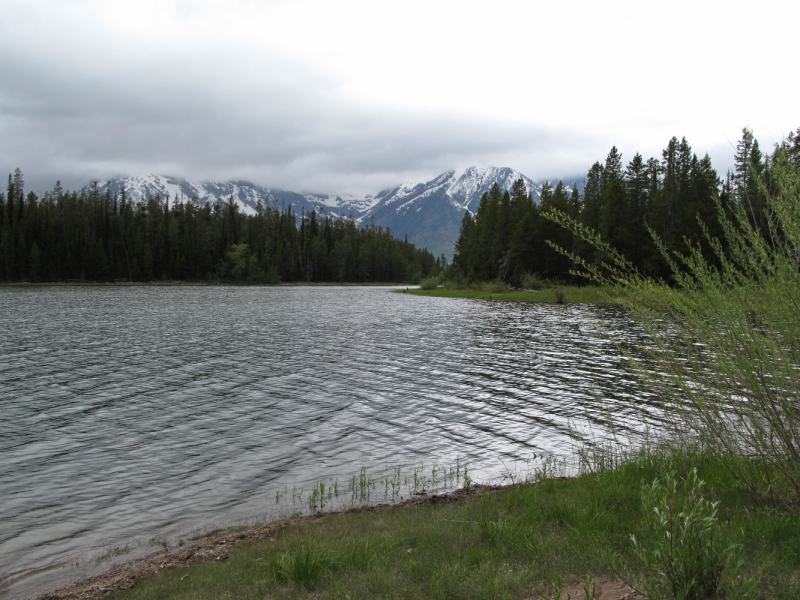 Вело Йеллоустон и Гранд Титон 2017г