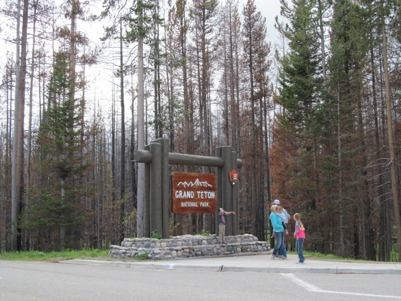 Вело Йеллоустон и Гранд Титон 2017г