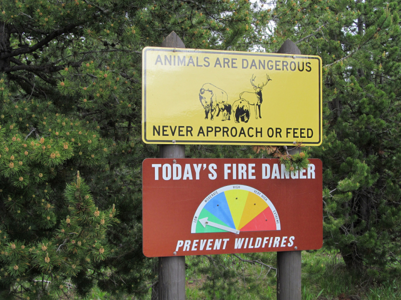 Вело Йеллоустон и Гранд Титон 2017г