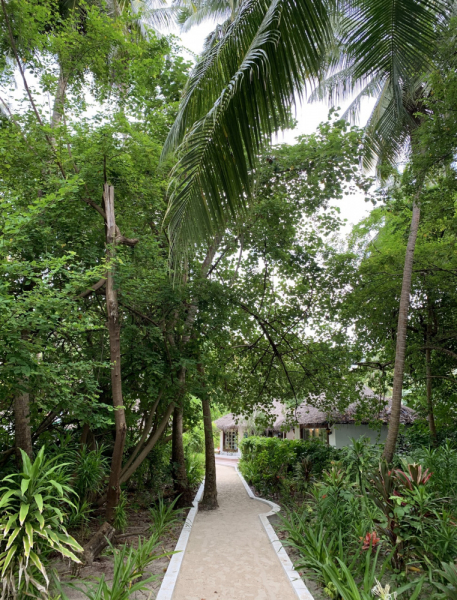 Adaaran Club Rannalhi + Biyadhoo Island Resort Декабрь 2020 Adaaran Club Rannalhi + Biyadhoo Island Resort Декабрь 2020