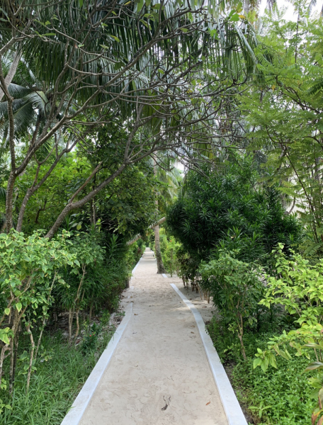 Adaaran Club Rannalhi + Biyadhoo Island Resort Декабрь 2020 Adaaran Club Rannalhi + Biyadhoo Island Resort Декабрь 2020