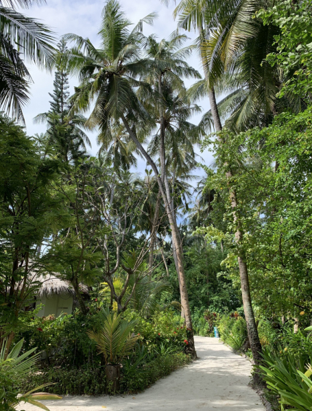 Adaaran Club Rannalhi + Biyadhoo Island Resort Декабрь 2020 Adaaran Club Rannalhi + Biyadhoo Island Resort Декабрь 2020