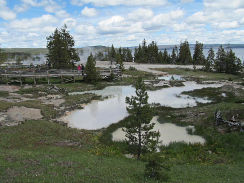 Вело Йеллоустон и Гранд Титон 2017г