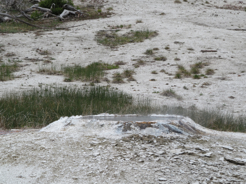 Вело Йеллоустон и Гранд Титон 2017г