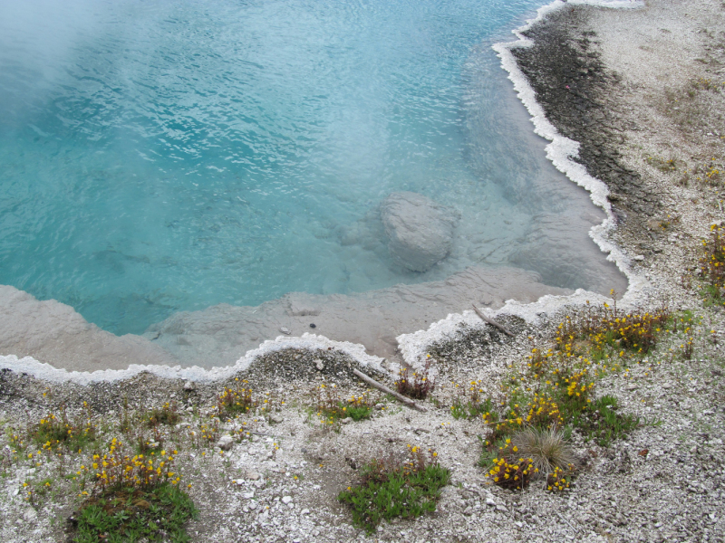 Вело Йеллоустон и Гранд Титон 2017г