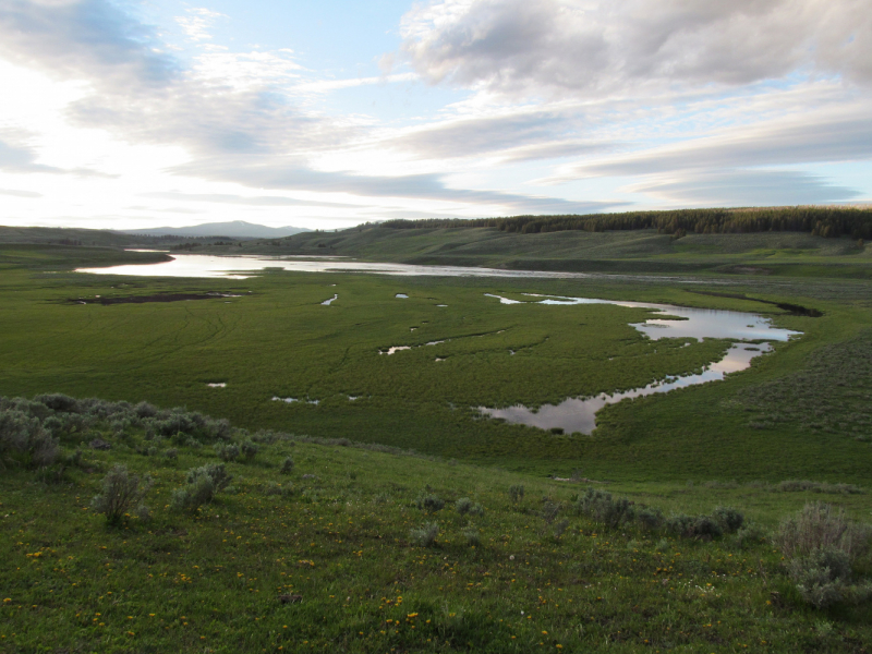 Вело Йеллоустон и Гранд Титон 2017г