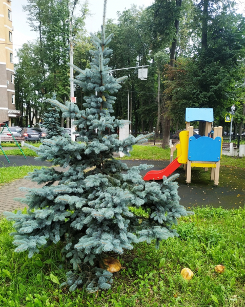 Городской и сельский пейзаж