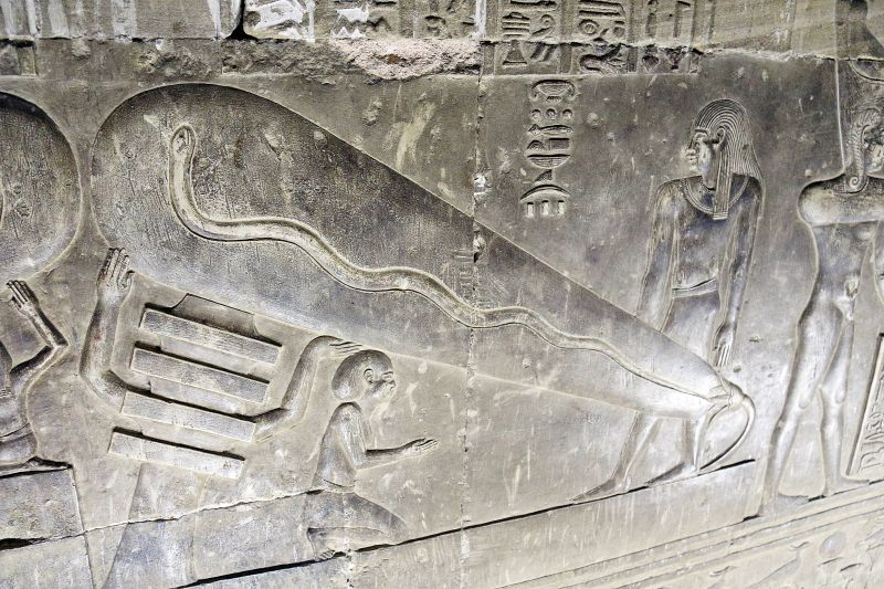 Древний Египет за шесть дней. Январь 2021
