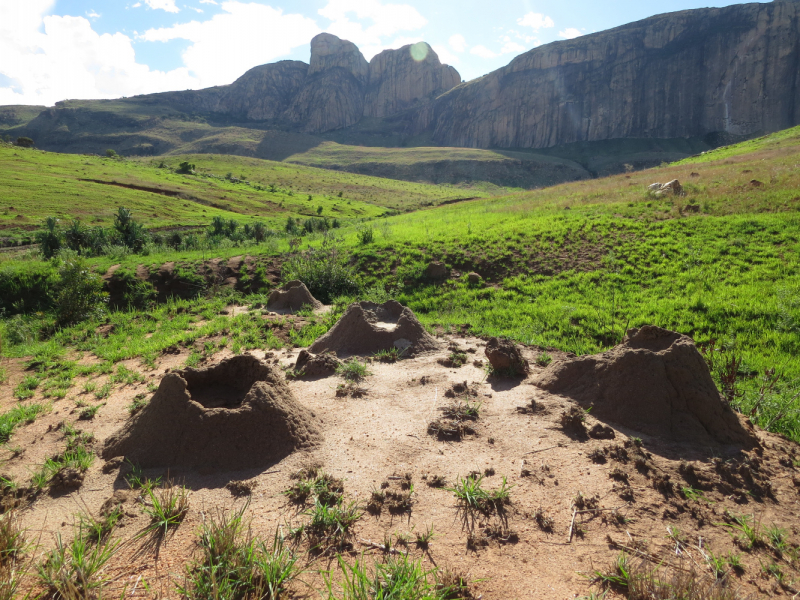 Мадагаскар-2020: Из крайности в крайность