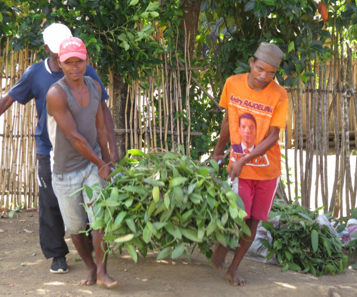 Мадагаскар-2020: Из крайности в крайность