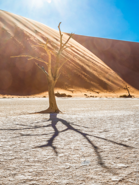Намибия. Оранжевое настроение под ярко-голубым небом пустыни