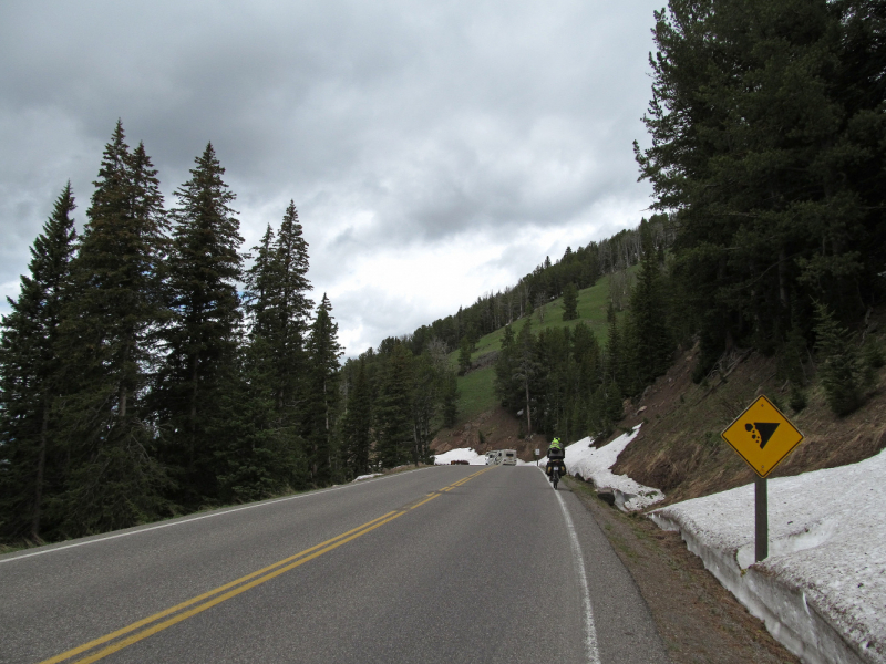 Вело Йеллоустон и Гранд Титон 2017г