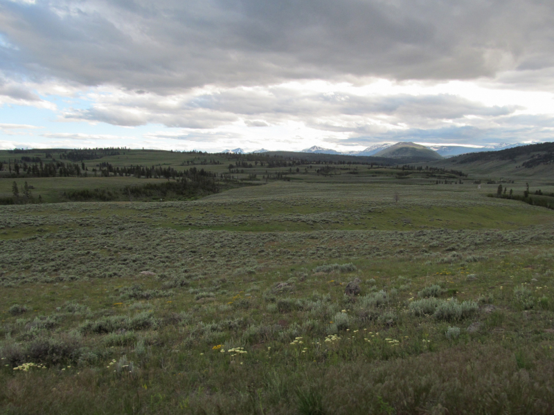 Вело Йеллоустон и Гранд Титон 2017г