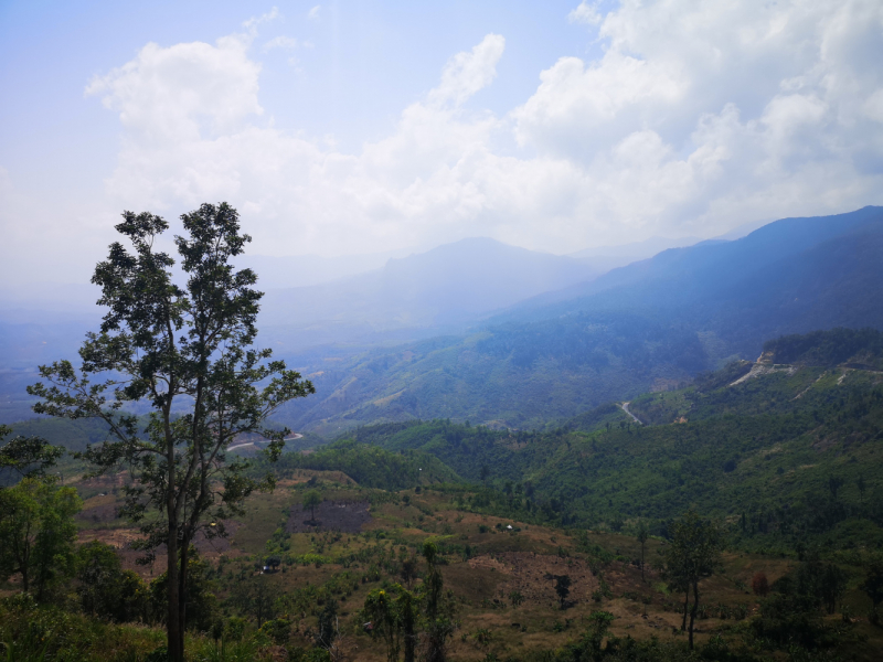 предпоследний день