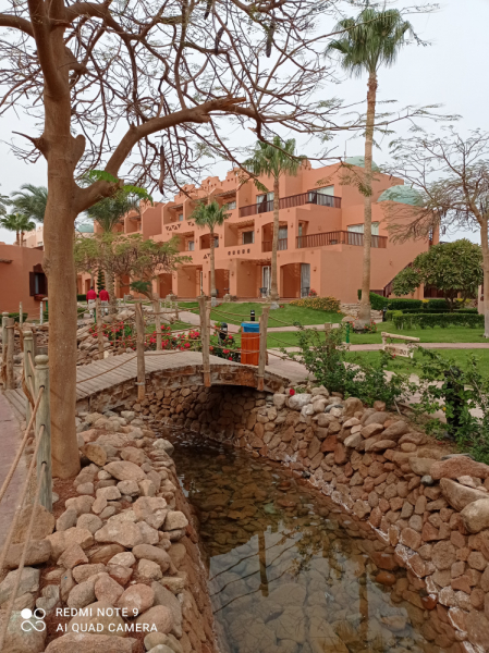 Отель Nubian Island*****, Шарм-эль-Шейх, январь 2021 г.