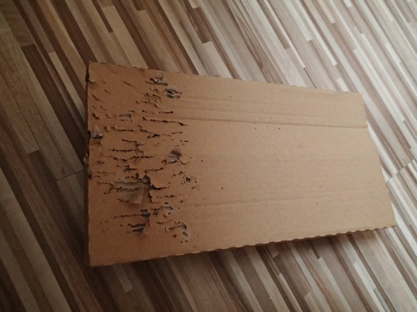 Кошки в нашей жизни. Кошки и все, что с ними связано.