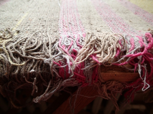 Кошки в нашей жизни. Кошки и все, что с ними связано.