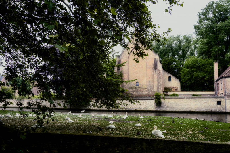 Brugge