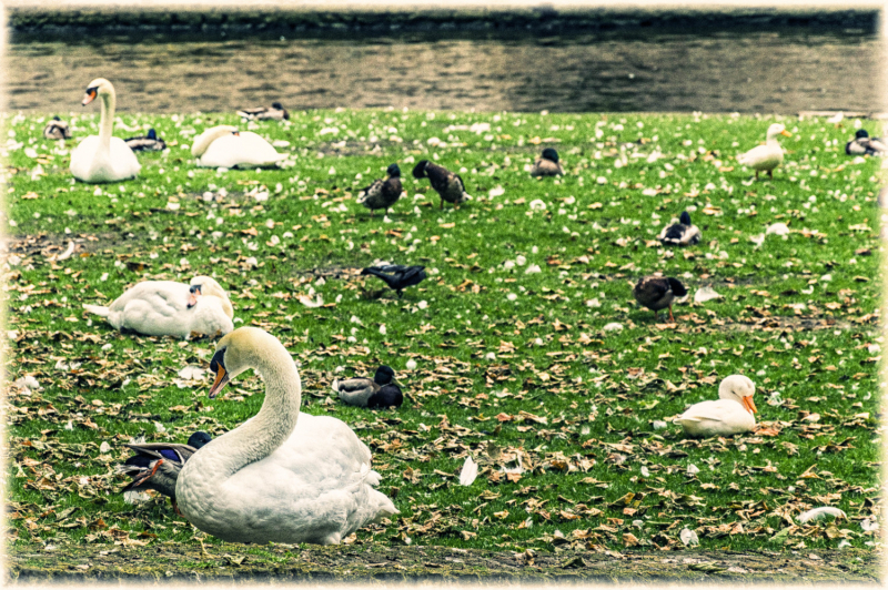 Brugge