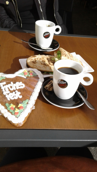 La mia vita. Римские записки, дневник онлайн