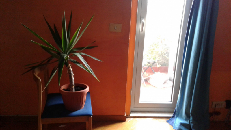 La mia vita. Римские записки, дневник онлайн