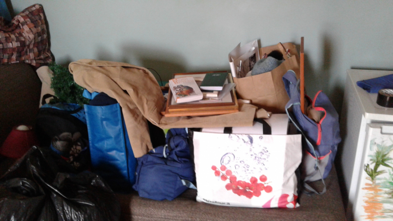 La mia vita. Римские записки, дневник онлайн