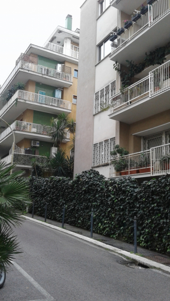 La mia vita. Римские записки, дневник онлайн