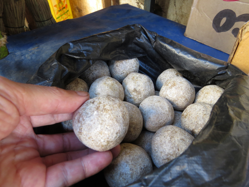 Мадагаскар-2020: Из крайности в крайность