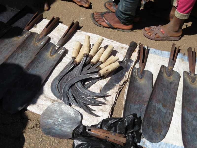 Мадагаскар-2020: Из крайности в крайность