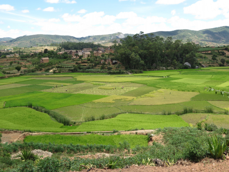 Мадагаскар-2020: Из крайности в крайность