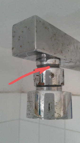 La mia vita. Римские записки, дневник онлайн