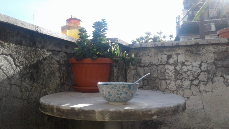 La mia vita. Римские записки, дневник онлайн