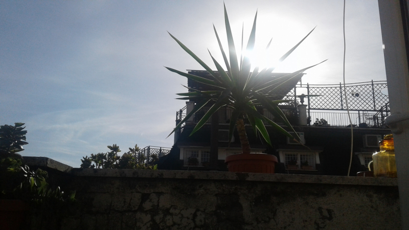 La mia vita. Римские записки, дневник онлайн