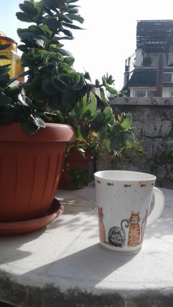 La mia vita. Римские записки, дневник онлайн