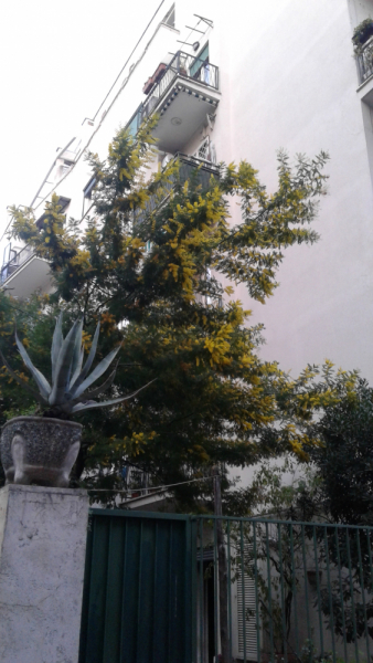 La mia vita. Римские записки, дневник онлайн